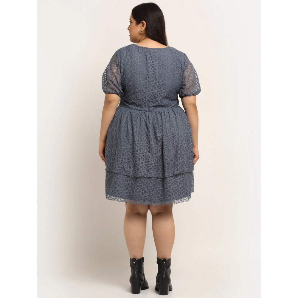 Net Solid Knee Length Fit and Flare Dress (Gery)